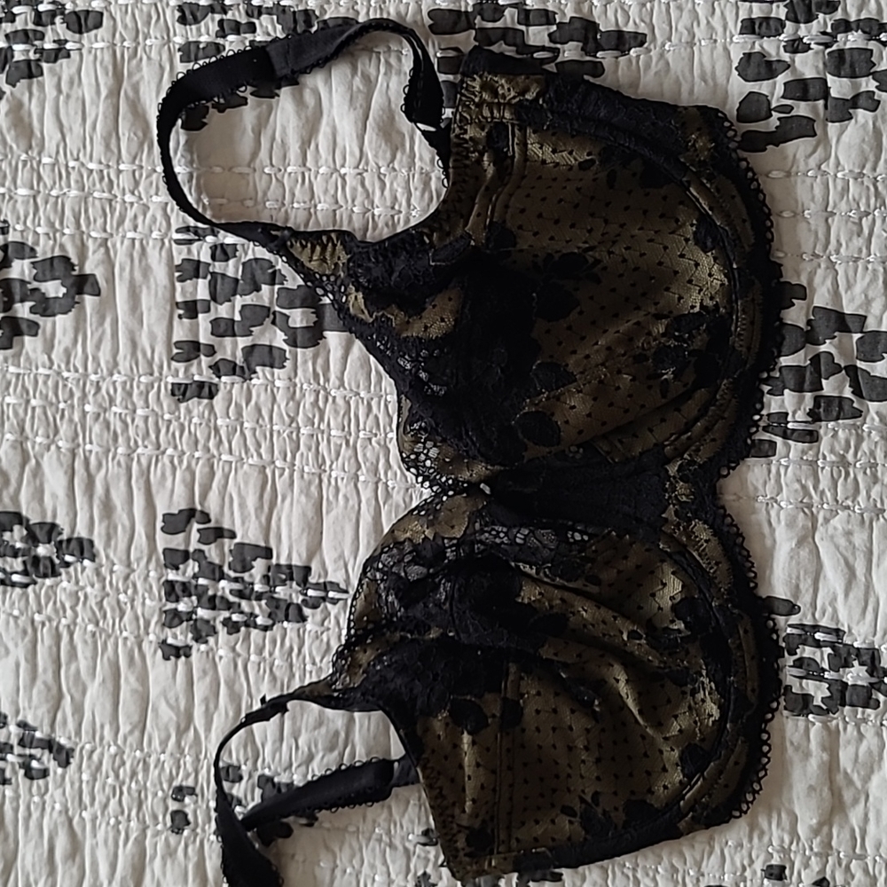 Panache lace balconette